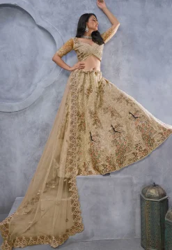 Embroidered Net Lehenga in Beige