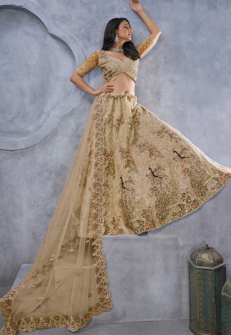 Embroidered Net Lehenga in Beige