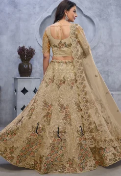 Embroidered Net Lehenga in Beige