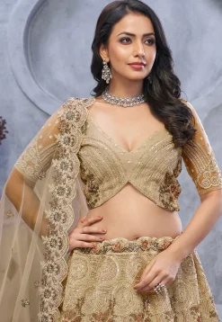 Embroidered Net Lehenga in Beige