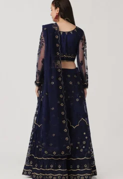 Embroidered Net Lehenga in Navy Blue