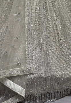 Embroidered Net Lehenga in Off White