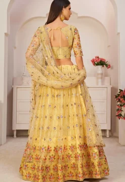 Embroidered Net Lehenga in Beige