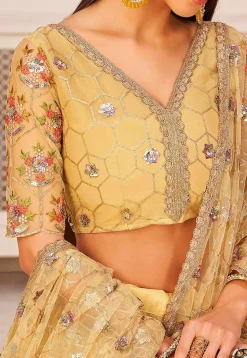 Embroidered Net Lehenga in Beige