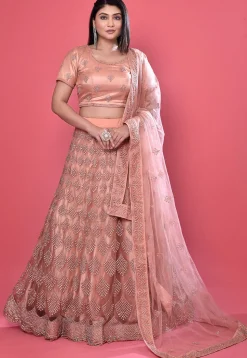 Embroidered Net Lehenga in Peach