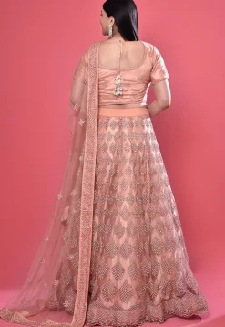 Embroidered Net Lehenga in Peach