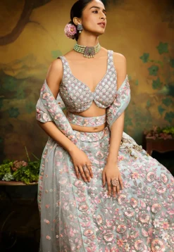Embroidered Net Lehenga in Dusty Green
