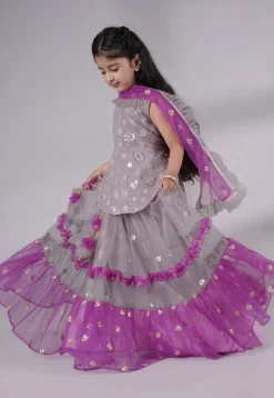 Embroidered Net Lehenga in Grey and Purple