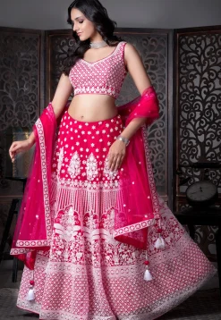 Embroidered Net Lehenga in Fuchsia