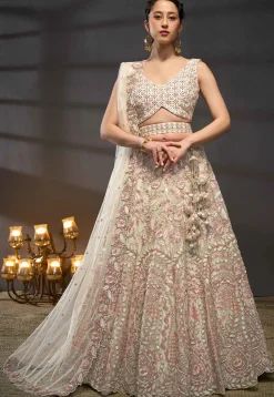 Embroidered Net Lehenga in Cream