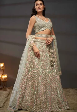 Embroidered Net Lehenga in Light Green