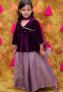 Embroidered Net Lehenga in Dusty Purple