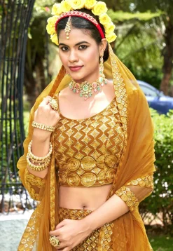 Embroidered Net Lehenga in Mustard
