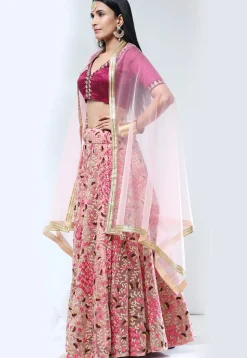 Embroidered Net Lehenga in Peach
