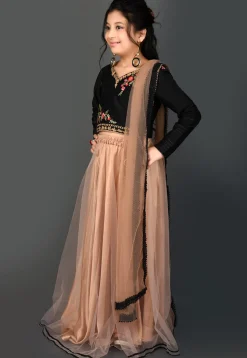 Embroidered Net Lehenga in Beige