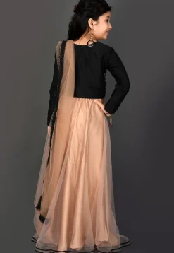 Embroidered Net Lehenga in Beige