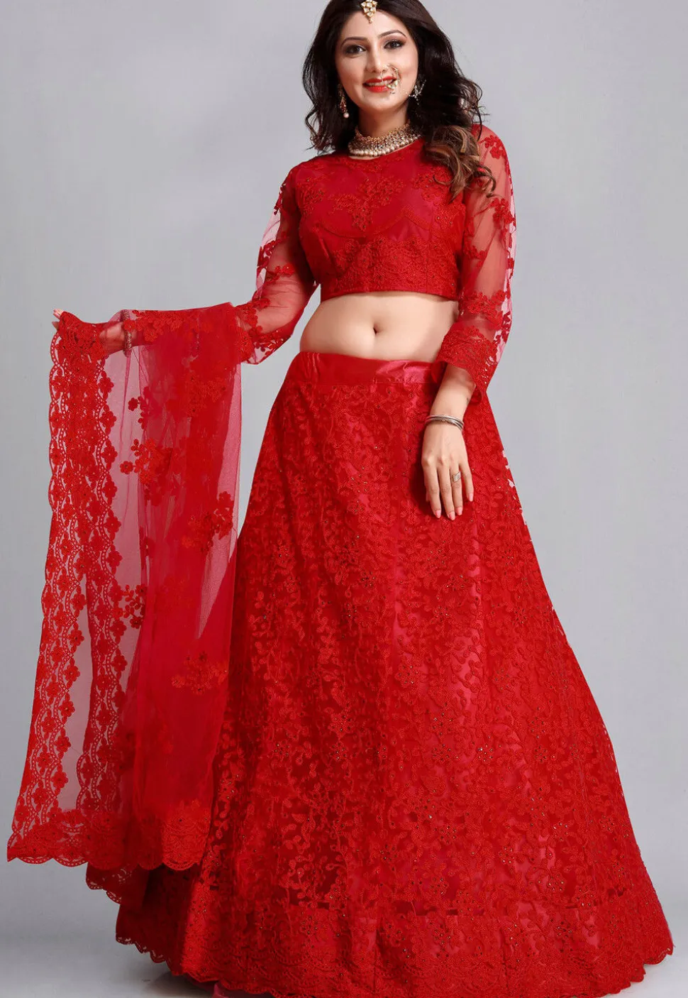 Embroidered Net Lehenga in Red