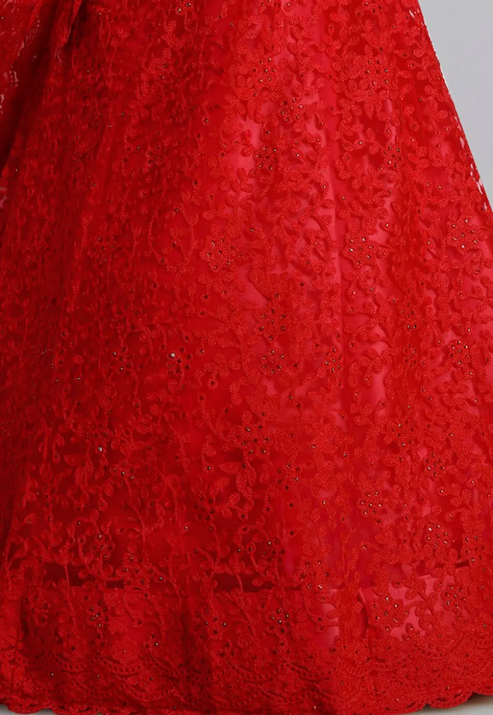 Embroidered Net Lehenga in Red