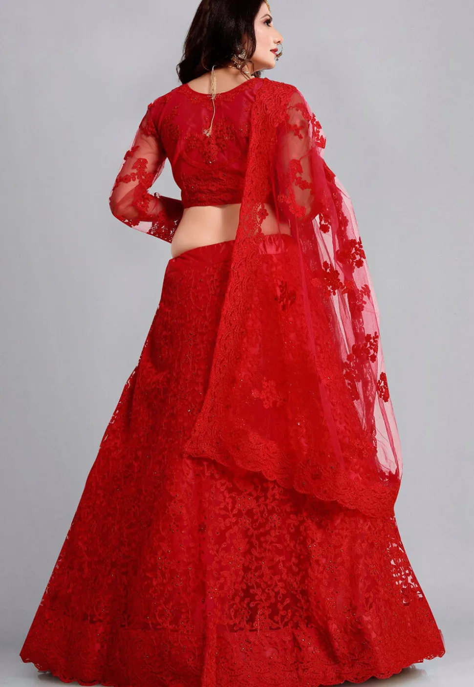 Embroidered Net Lehenga in Red