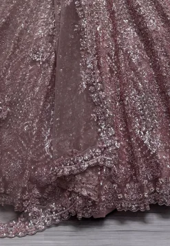 Embroidered Net Lehenga in Purple