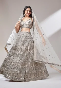 Embroidered Net Lehenga in Fawn