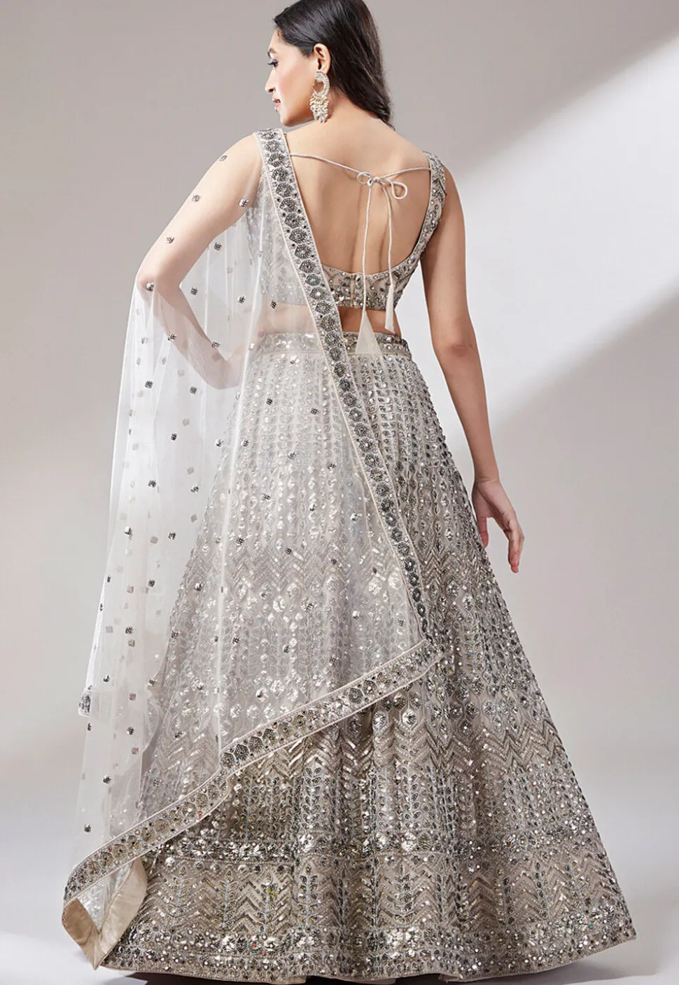 Embroidered Net Lehenga in Fawn