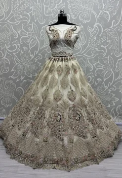 Embroidered Net Lehenga in Off White