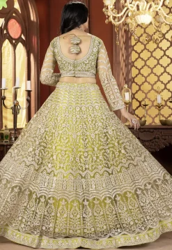 Embroidered Net Lehenga in Light Green