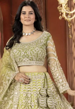 Embroidered Net Lehenga in Light Green