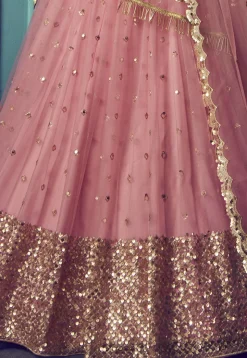 Embroidered Net Lehenga in Pink