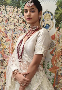 Embroidered Net Lehenga in Beige