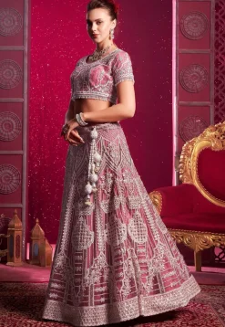 Embroidered Net Lehenga in Pink