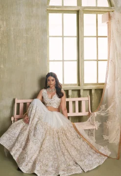 Embroidered Net Lehenga in Off White