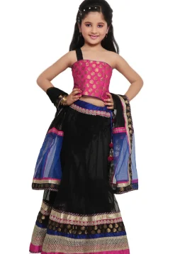 Embroidered Net Lehenga Set in Black