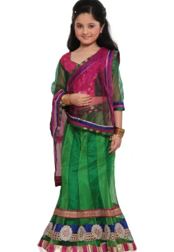 Embroidered Net Lehenga Set in Green