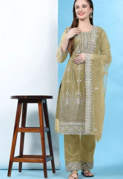 Embroidered Net Pakistani Suit in Beige