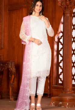 Embroidered Net Pakistani Suit in Off White