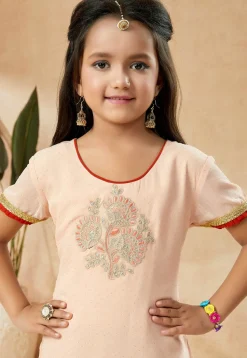 Embroidered Net Pakistani Suit in Peach