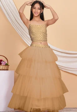 Embroidered Net Ruffled Lehenga in Beige