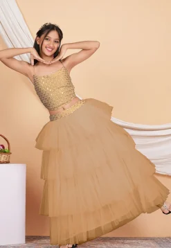 Embroidered Net Ruffled Lehenga in Beige