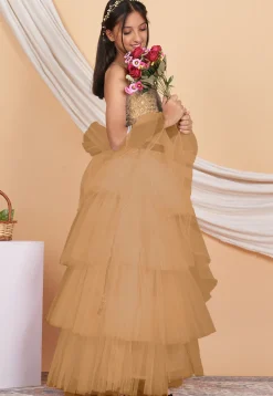 Embroidered Net Ruffled Lehenga in Beige