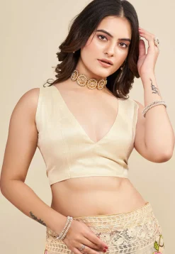 Embroidered Net Saree in Beige