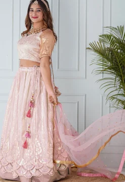 Embroidered Net Scalloped Lehenga in Light Pink