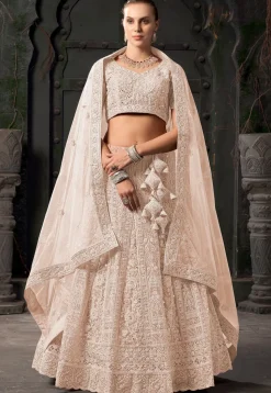 Embroidered Net Scalloped Lehenga in Beige