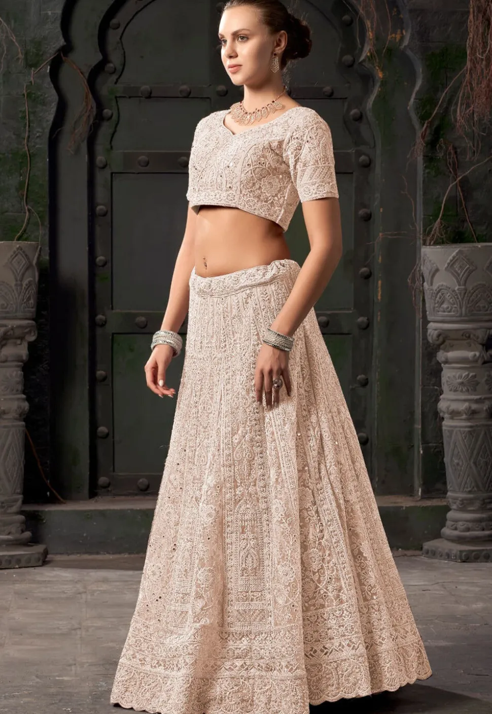 Embroidered Net Scalloped Lehenga in Beige