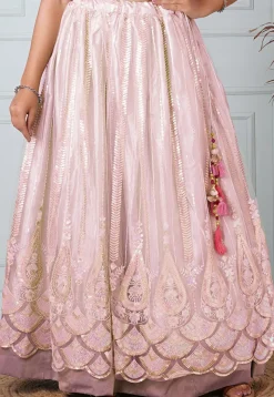 Embroidered Net Skirt in Baby Pink