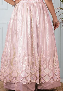 Embroidered Net Skirt in Baby Pink