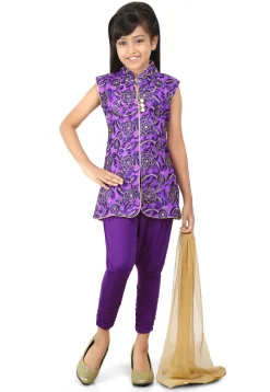 Embroidered Net Straight Suit in Purple