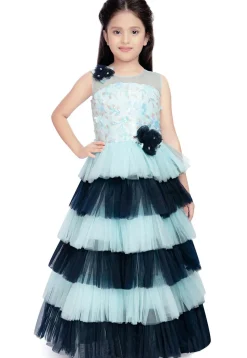Embroidered Net Tiered Gown in Sky Blue and Blue