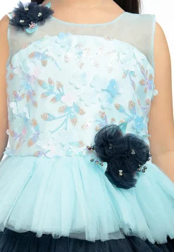 Embroidered Net Tiered Gown in Sky Blue and Blue